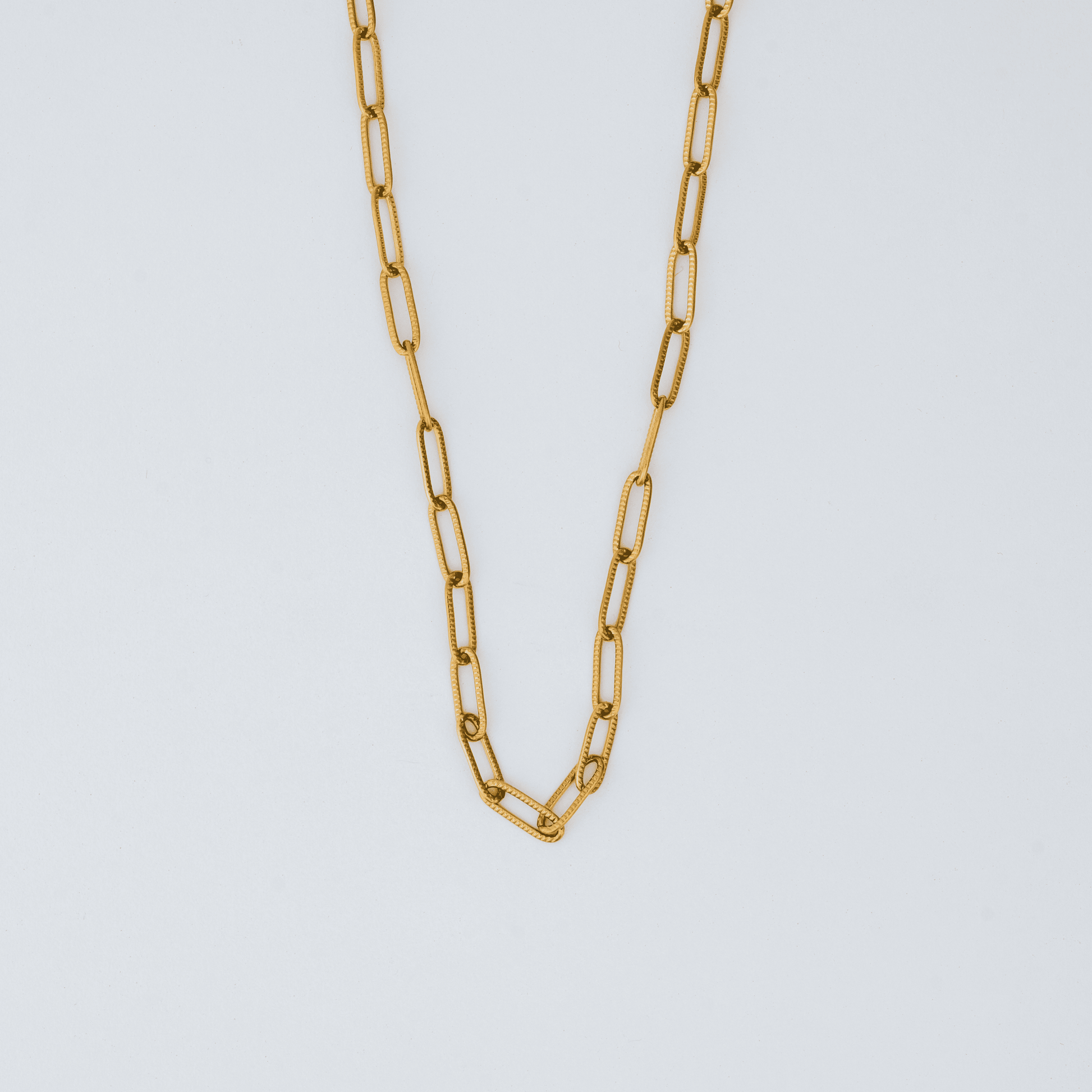 Twisted Hoop Earrings & Paperclip Chain Necklace