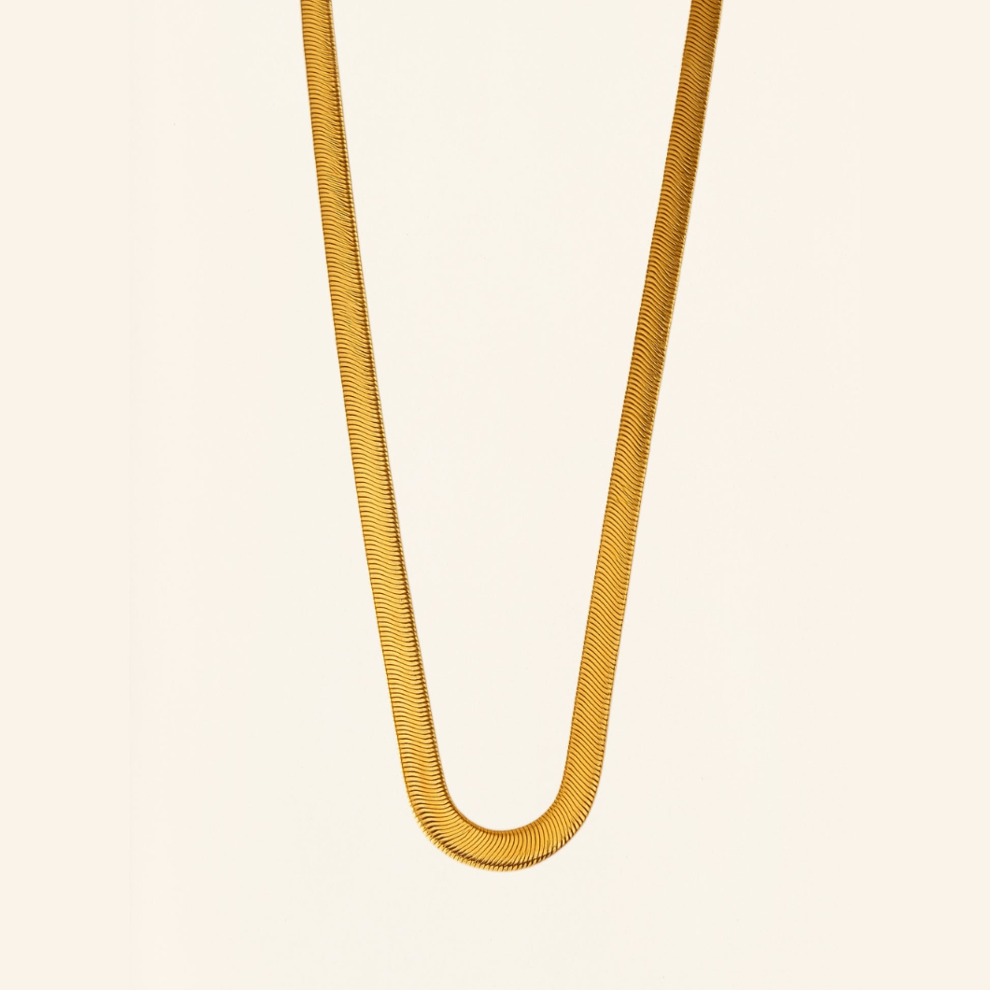 Snake Charm Bracelet & Snake Chain Necklace