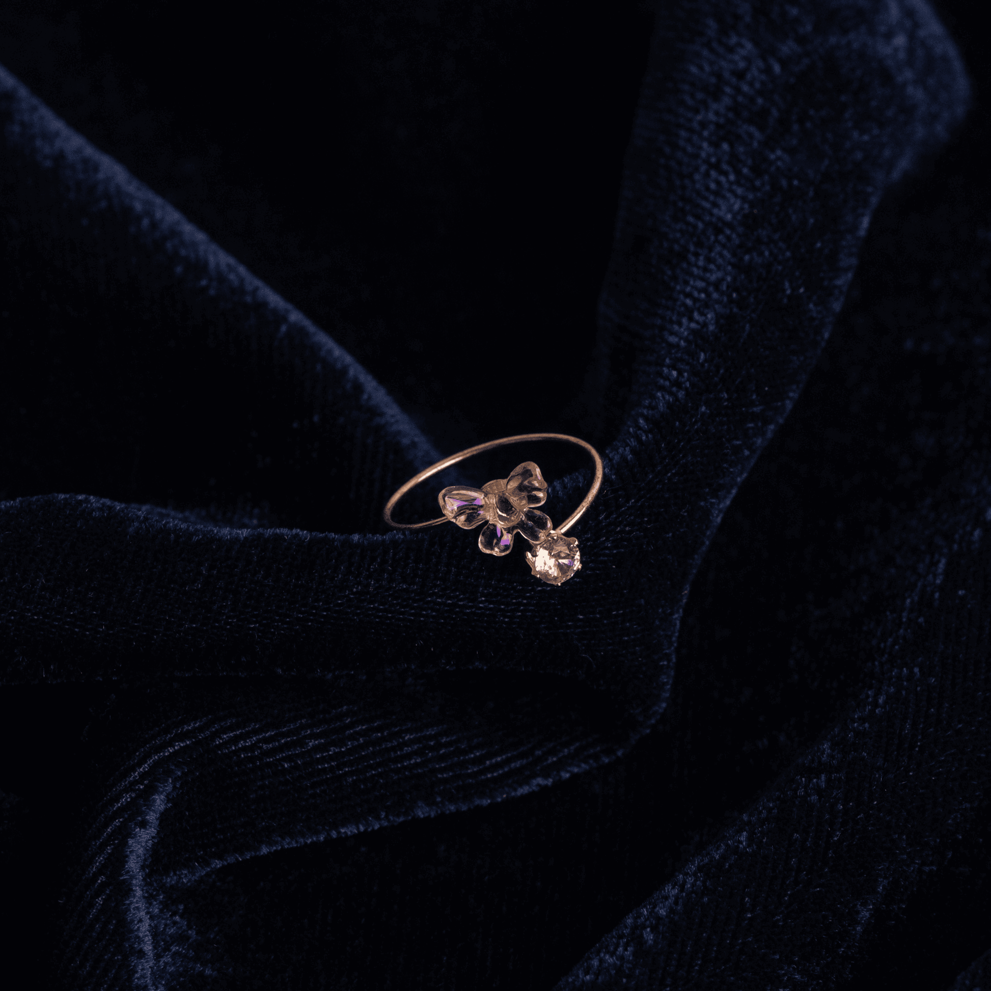 Wingsie Ring