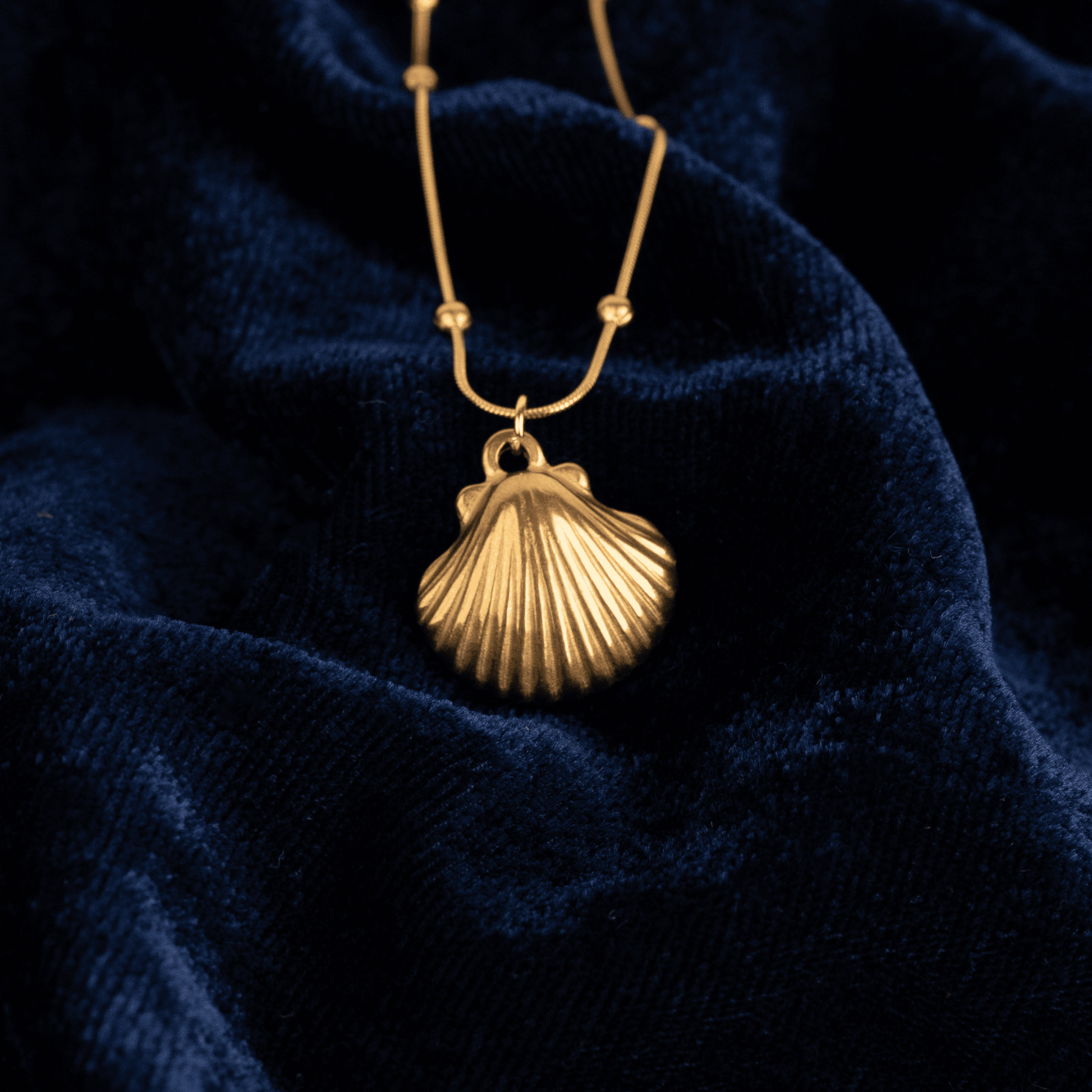 Shell Chic Necklace